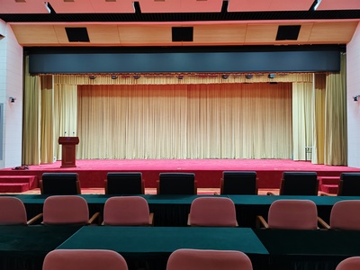 中国**大厦阻燃会议绒